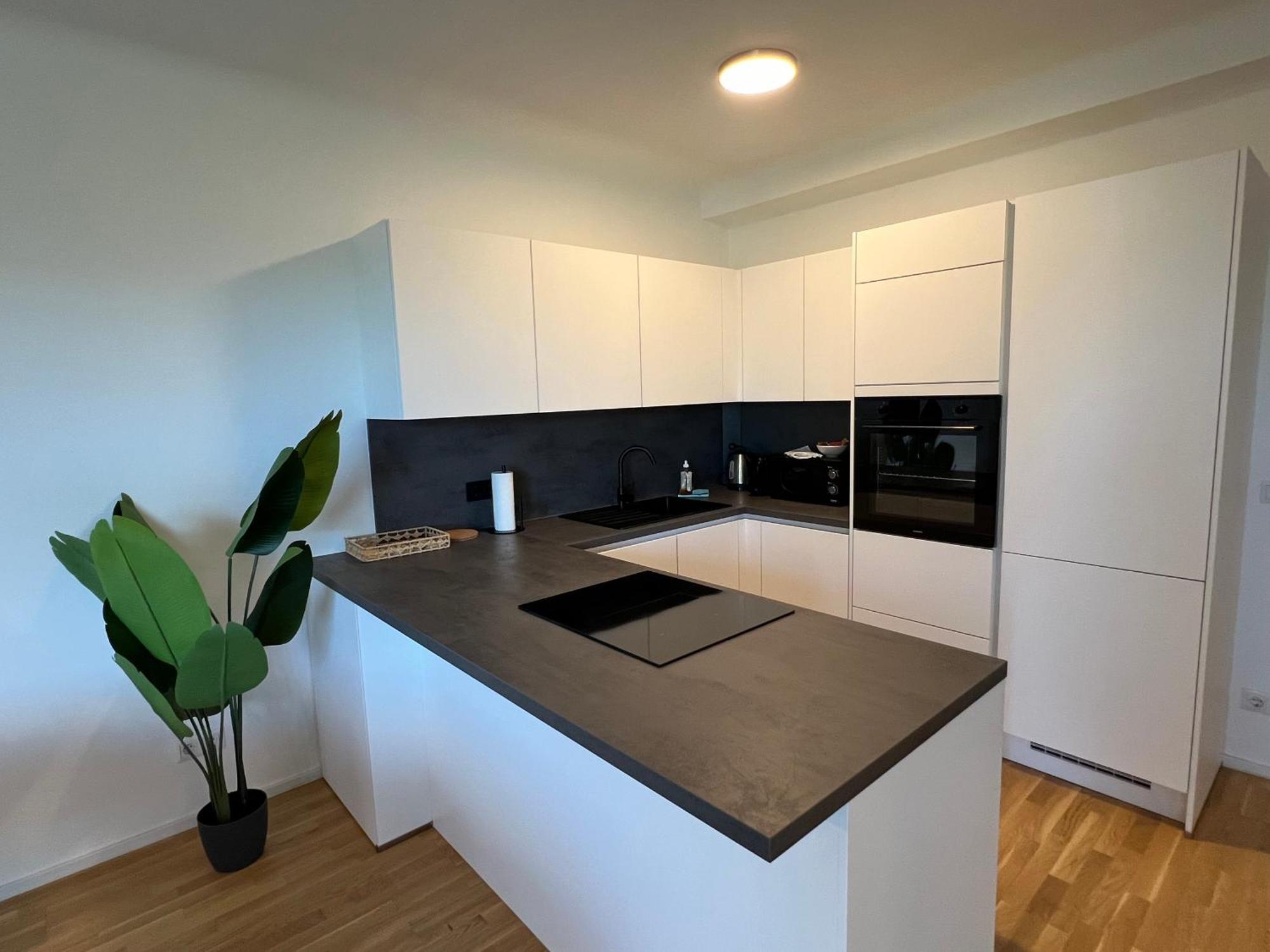 U4 Spittelau Tr10 Appartamento